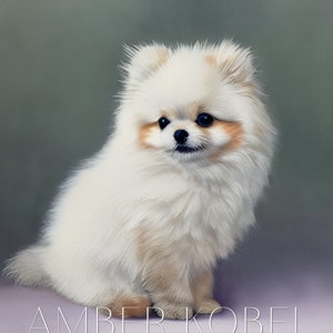 Pomeranian Pawtrait, Watercolor Painting, Gouache Watercolor, Giclee Print, Nursery Art Print, Pet Portrait