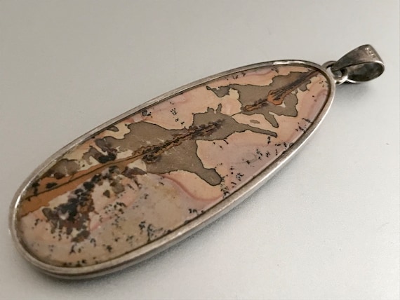 Petrified Wood & Sterling Silver Pendant / Fossil… - image 1