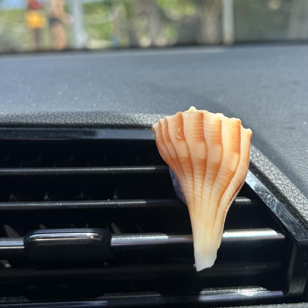 Real Seashell Car Air Freshener Clip, Beach Coastal Vent Diffuser, Summer Ocean Accessory