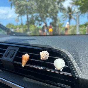 SET OF 5 Real Seashell Car Air Freshener Clip Beach Car Accessory Coastal Car Diffuser Summer Car Decor, Cute Vent Clip Ocean Gift for Her