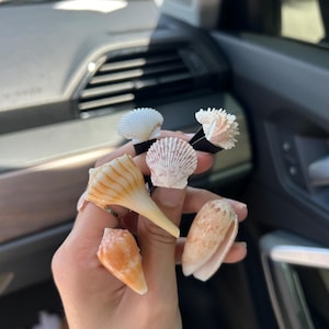 Puede incluir: Una colección de cinco conchas marinas distintas unidas a pinzas para el cabello negras. El surtido incluye una concha blanca en forma de abanico, una concha texturizada de color blanco rosado, una concha espiral larga naranja, una pequeña concha cónica naranja y una concha lisa de color canela.
