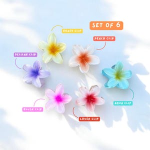 彼女の髪に花を6個セット | フラワークロークリップパック 女性用かわいいヘアアクセサリー ガーリーヘアクリップ ロングヘア用大型クロークリップ