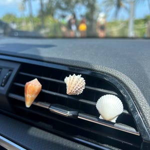 Op de afbeelding: Drie verschillende schelpen bevestigd aan een zwart ventilatierooster van een auto. Links een gladde, oranje kegelvormige schelp. In het midden een getextureerde, gebroken witte schelp met ribbels. Rechts een witte, waaiervormige schelp met lijnen.