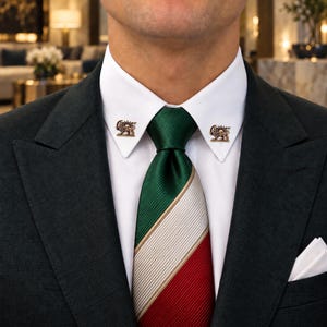 Puede incluir: Un blazer gris oscuro sobre una camisa blanca de cuello rígido con una corbata a rayas verdes, blancas y rojas. Las puntas del cuello están sujetas con dos alfileres metálicos en forma de león con un motivo solar, y un pañuelo blanco.