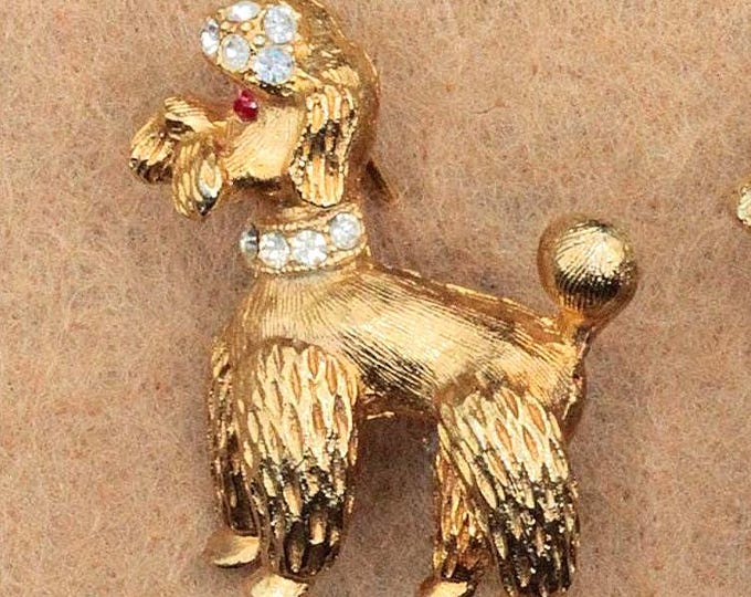 VINTAGE Rhinestone Poodle Brooch • Gold Tone Dog Pin with Clear Rhinestones & Red Eyes • Mid Century Costume Jewelry