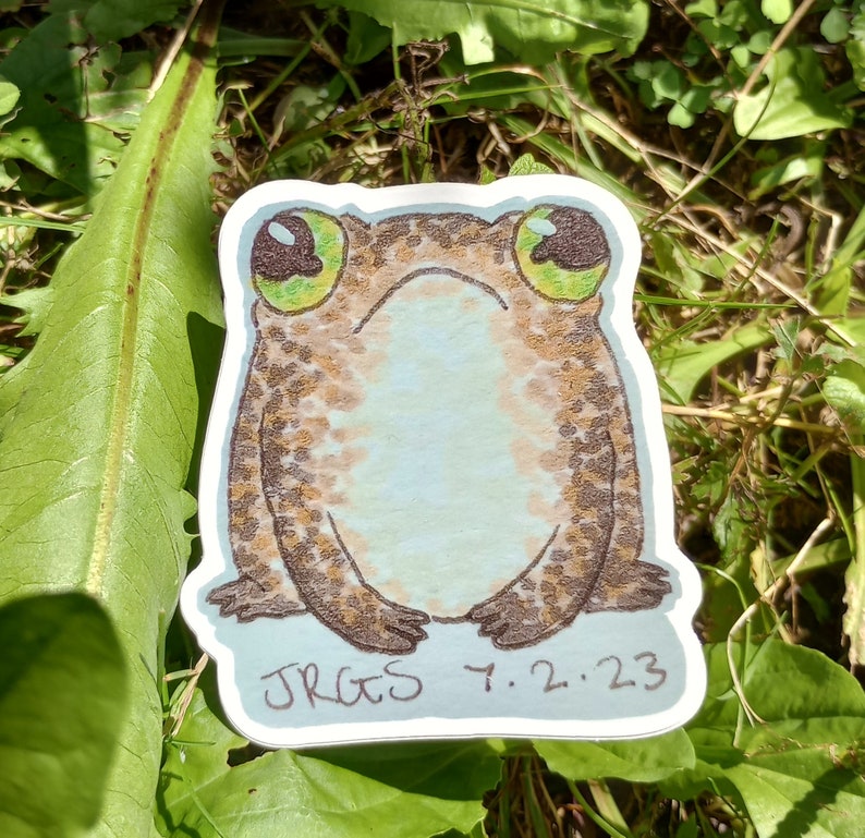 Toad Crying Sticker Grumpy Toad Sticker - Etsy