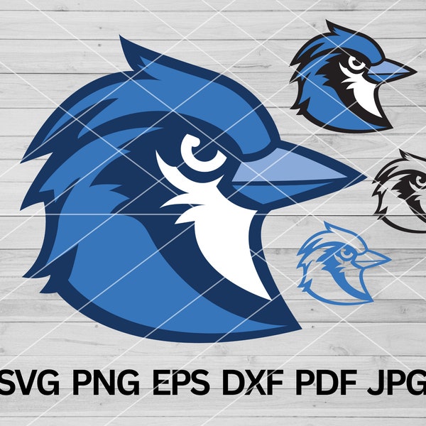 Blue Jay svg, Blue Jays svg, Blue-Jay, Bluejay mascot svg, Bluejays school pride cut file cricut, High School Bluejay football baseball svg