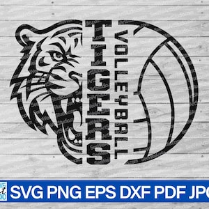 High School Tigers Volleyball svg, Tigers svg, Tigers mascot svg, Tigers Cut Files Cricut, Tigers School Spirit, Tigers Pride, Tigers Cheer