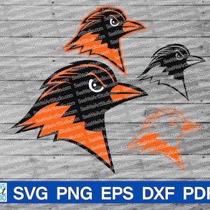 Oriole SVG, Orioles svg, Oriole Bird PNG, Mascotte degli Orioles delle scuole superiori svg, Spirito scolastico degli Orioles, Football degli Orioles, Baltimore Oriole Bird svg