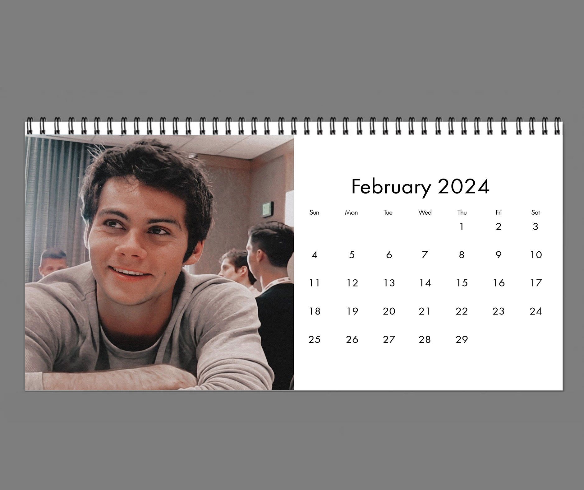 2024 Dylan O'brien Calendar, 2024 Desk Calendar,Celebrity Calendar sold
