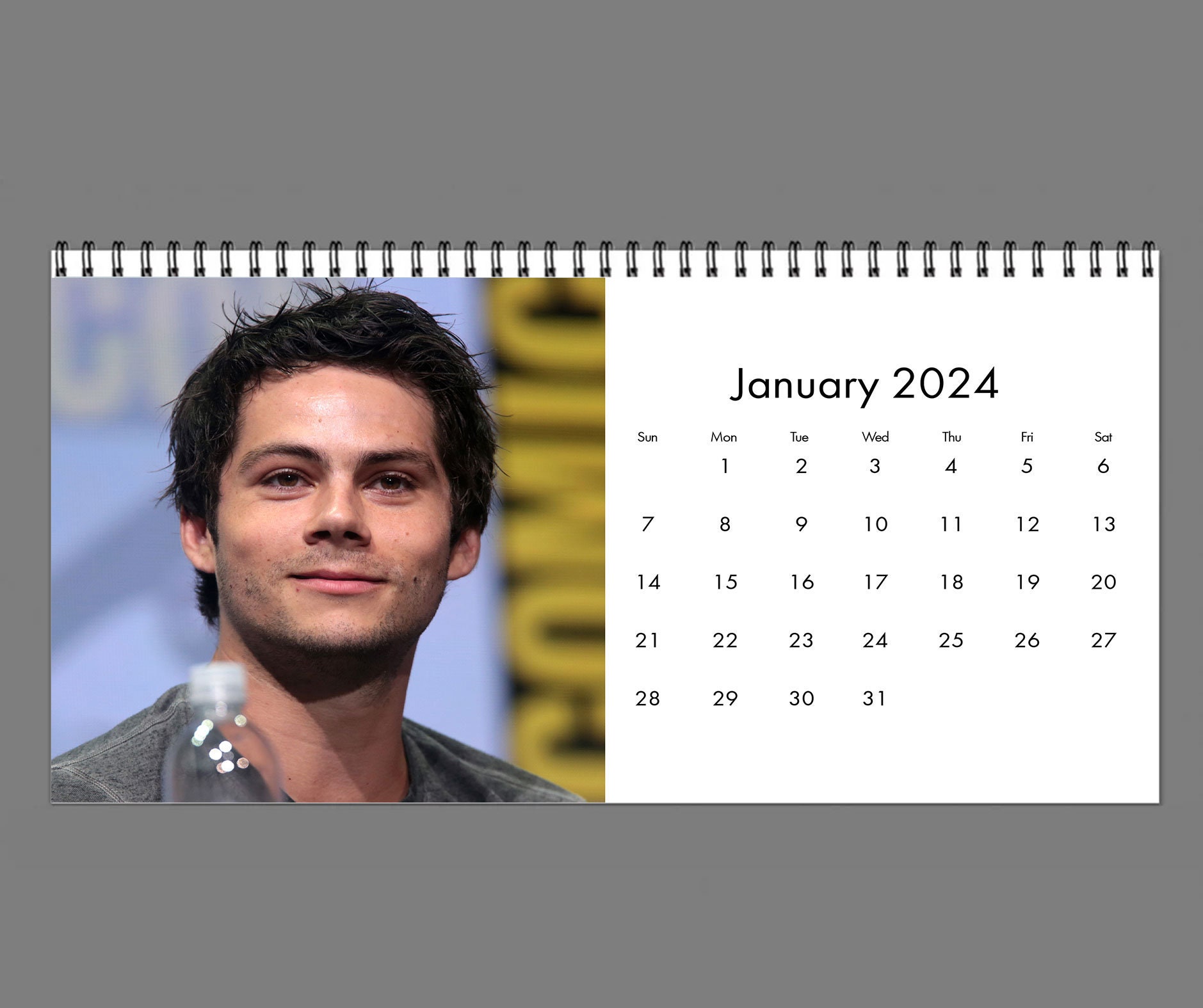 2024 Dylan O'brien Calendar, 2024 Desk Calendar,Celebrity Calendar sold