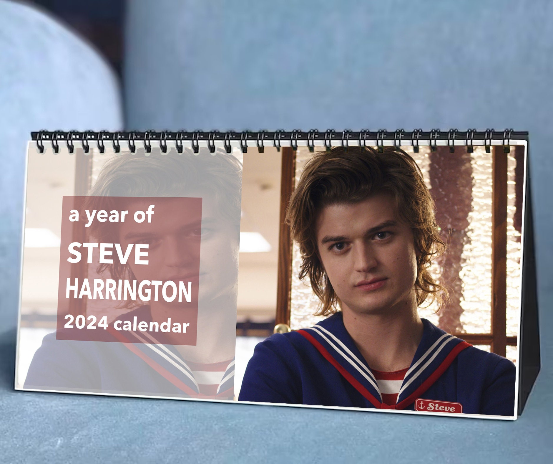 2024 Steve Harrington Calendar, 2024 Desk Calendar, Celebrity Calendar