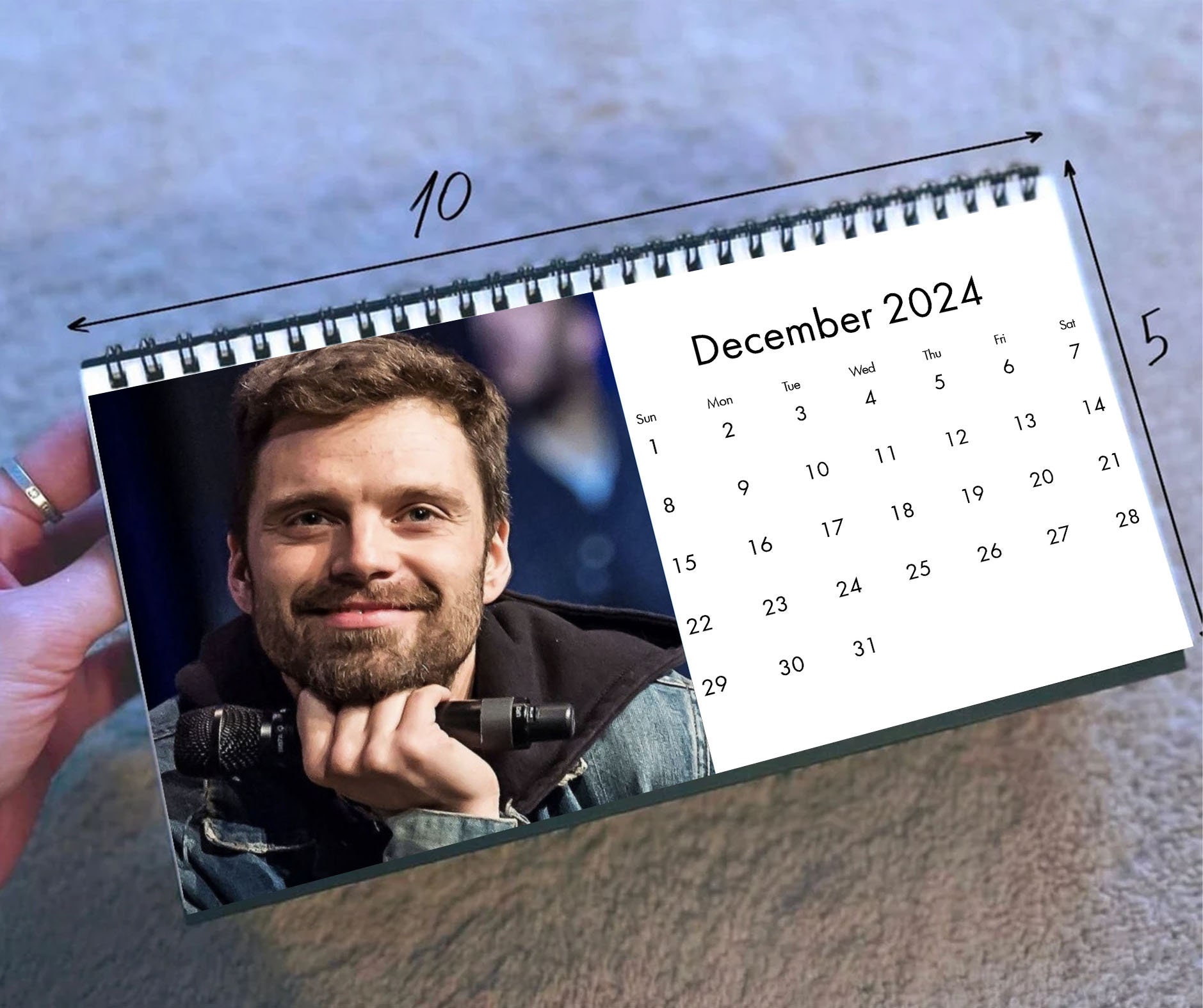 2024 Sebastian Stan Calendar, 2024 Desk Calendar, Celebrity Calendar