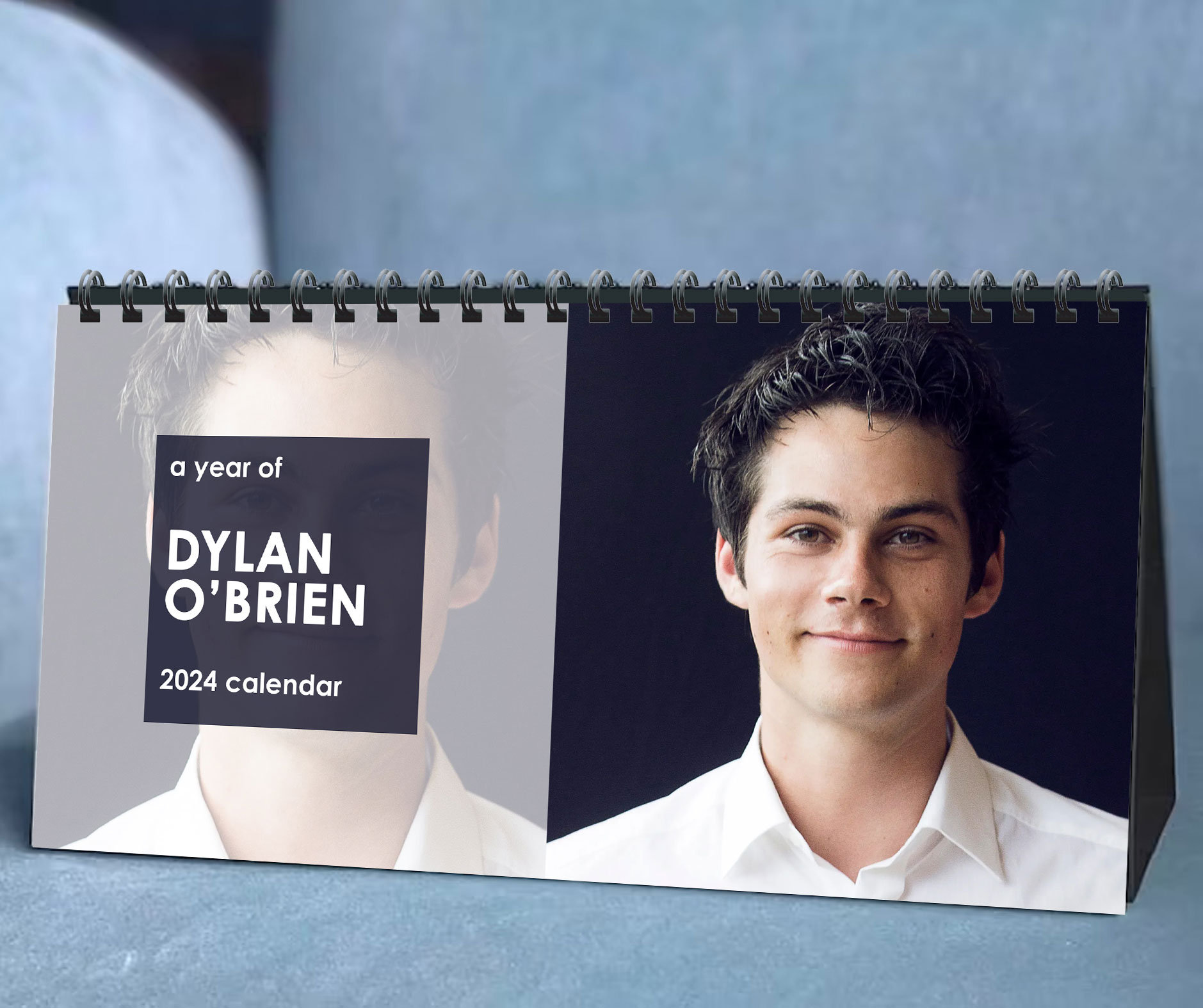 2024 Dylan O'brien Calendar, 2024 Desk Calendar,Celebrity Calendar sold