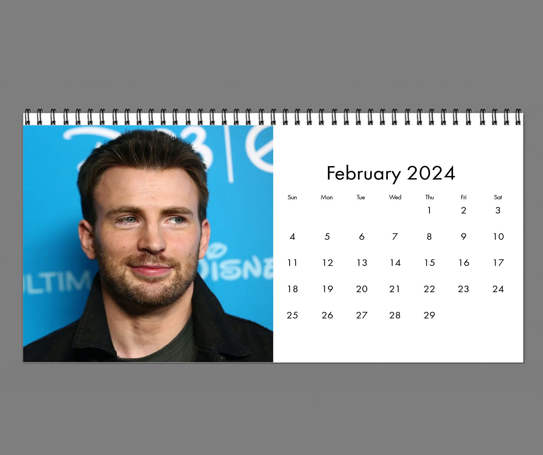 2024 Chris Evans Calendar, 2024 Desk Calendar, Celebrity Calendar sold