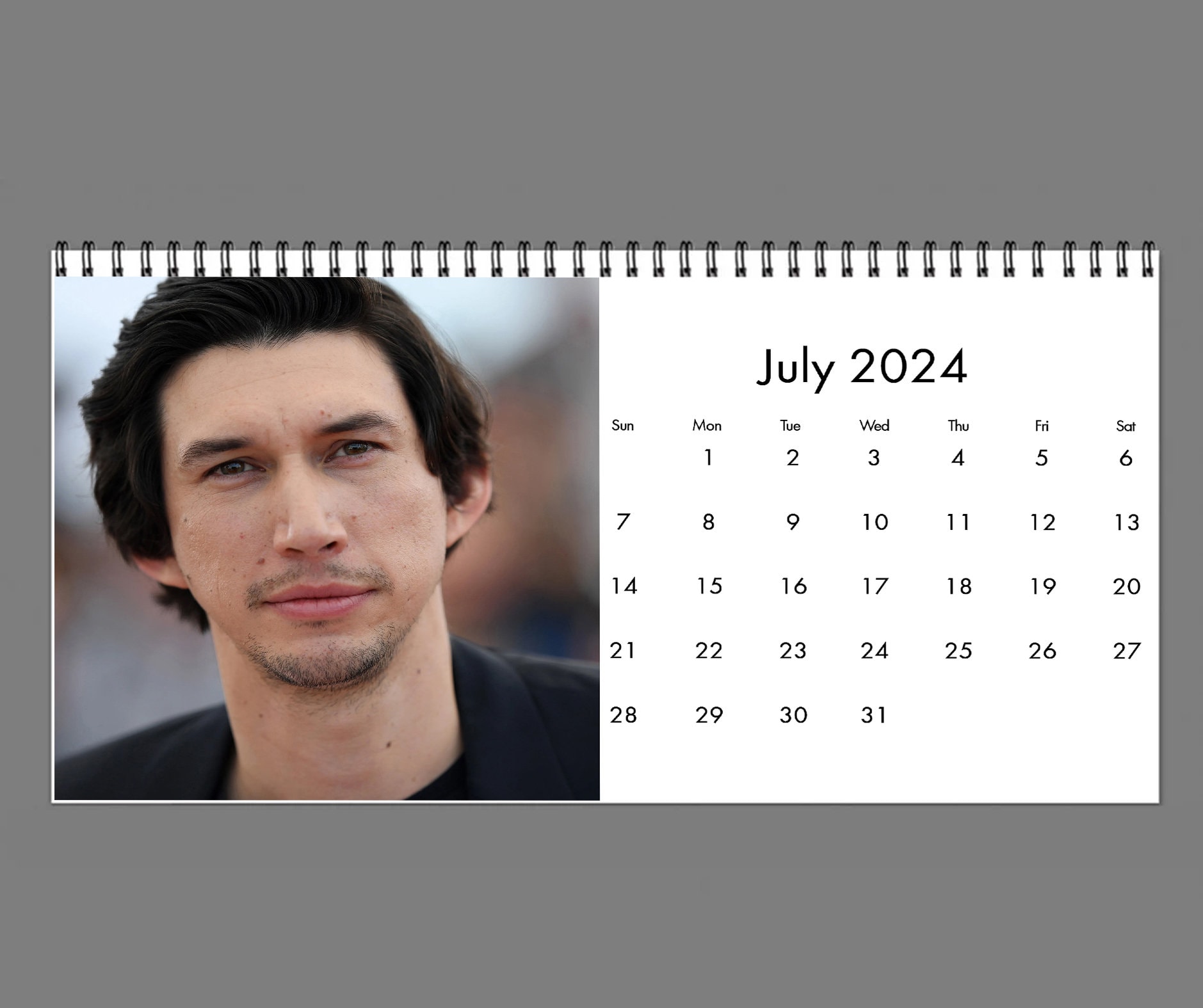Adam driver calendar 2024 dale jacquette