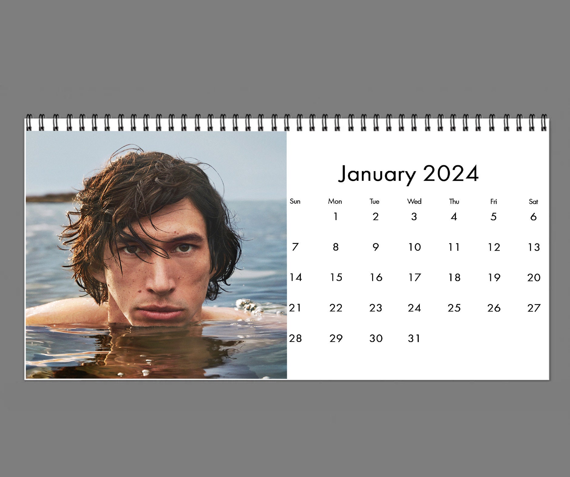 2024 Adam Driver Calendar, 2024 Desk Calendar, Celebrity Calendar sold