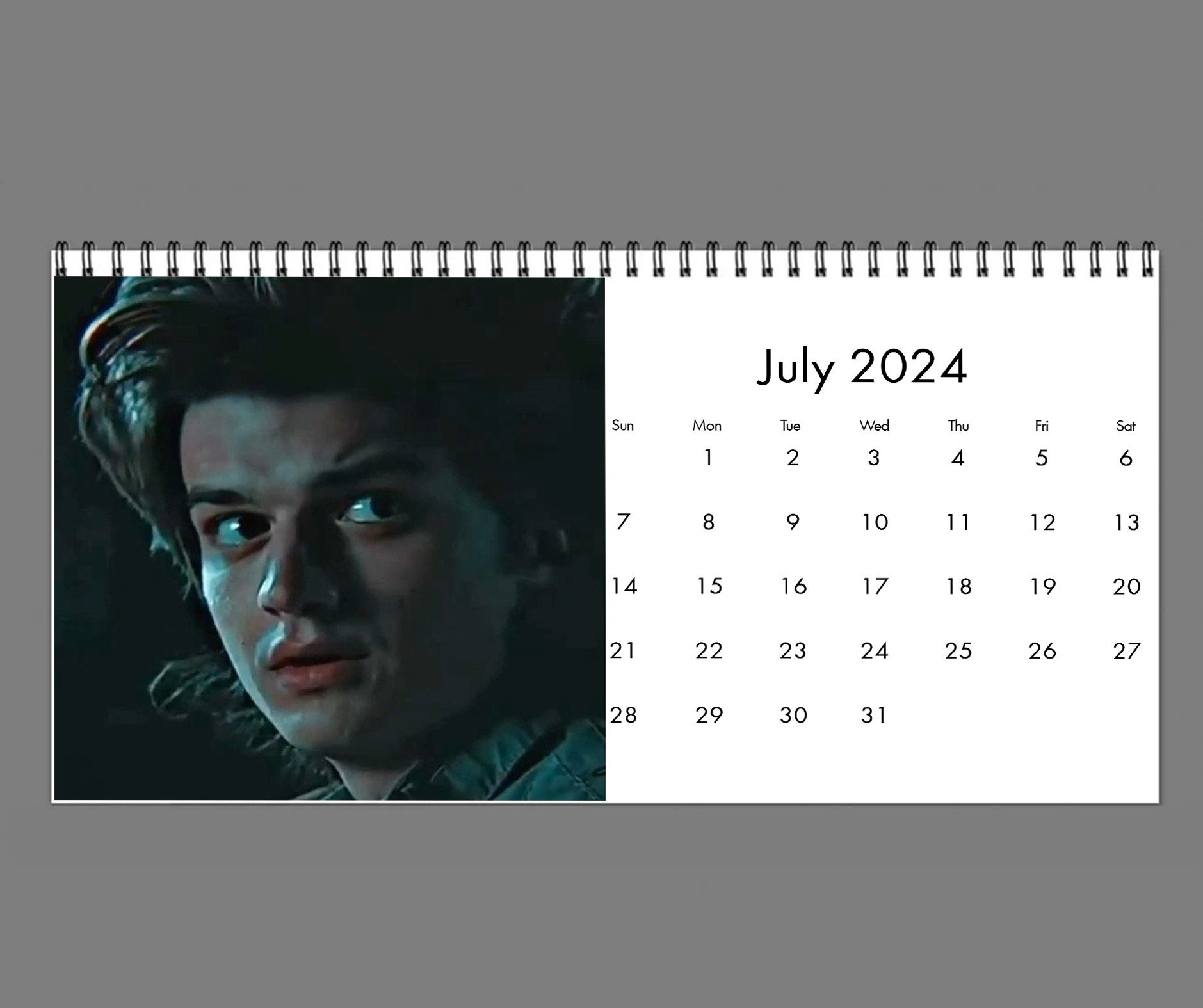 2024 Steve Harrington Calendar, 2024 Desk Calendar, Celebrity Calendar