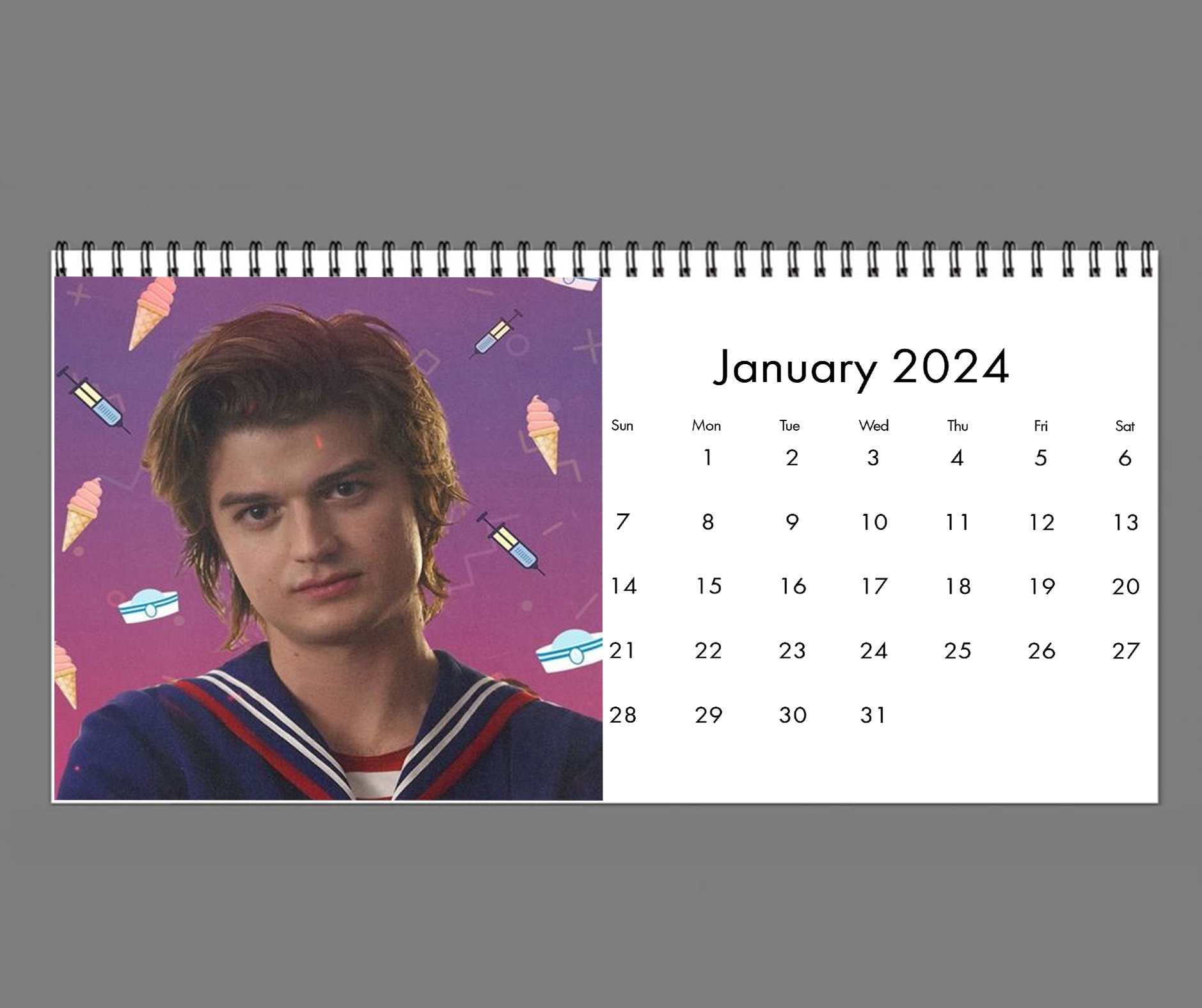 2024 Steve Harrington Calendar, 2024 Desk Calendar, Celebrity Calendar