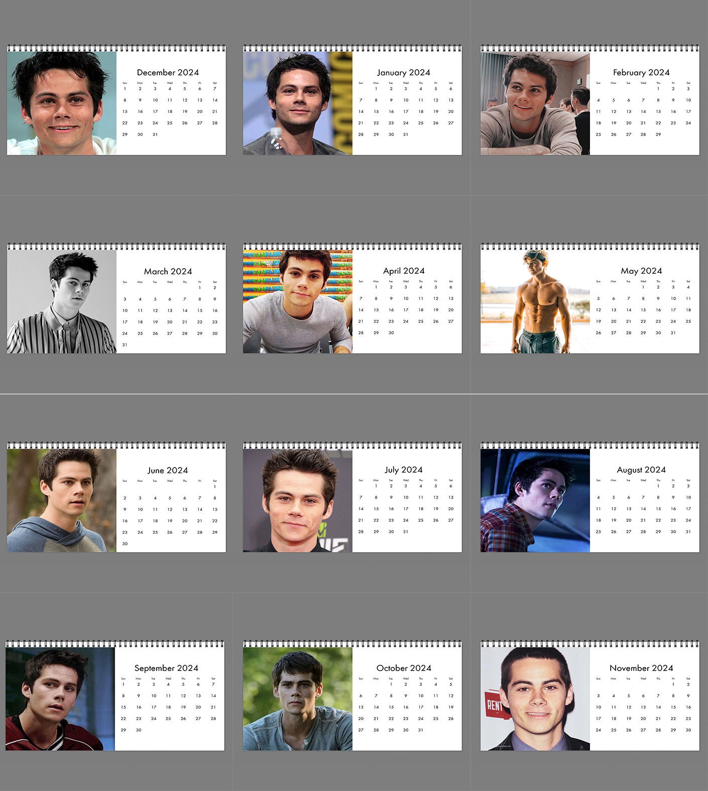 2024 Dylan O'brien Calendar, 2024 Desk Calendar,Celebrity Calendar sold