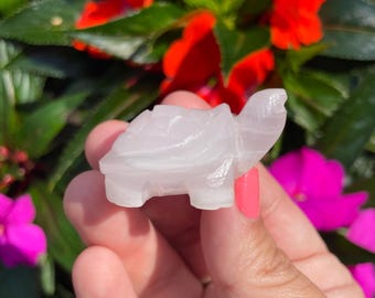 Tortuga de calcita rosa