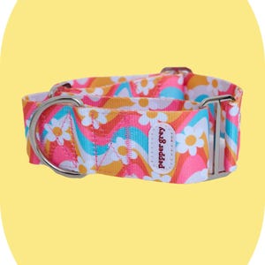 ロキシーカラー – グレイハウンドカラー、ウィペットカラー、マーチンゲールカラー、ノープルカラー、ガルゴカラー、サルーキカラー