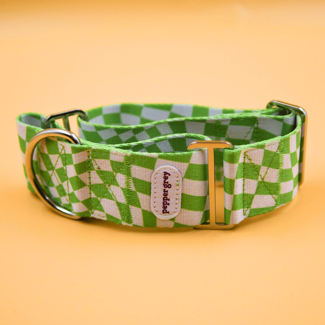 The Cookie Collar Greyhound Collar, Whippet Collar, Martingale Collar