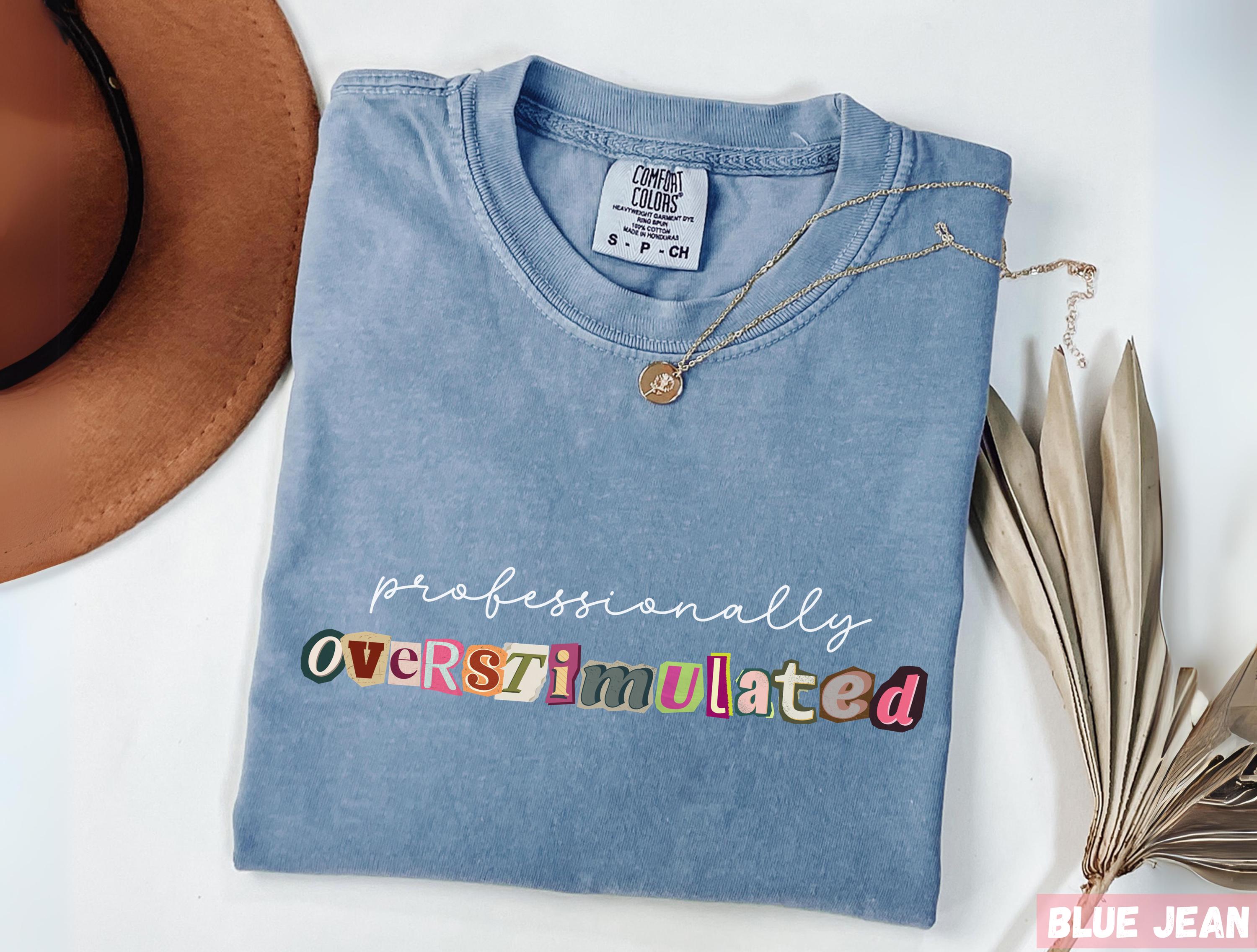 Comfort Colors® Professionally Overstimulated Shirt, Teacher Tee, Funny Back To School Gift Educator, Retro Lettering T Shirt, Y2K Aesthetic