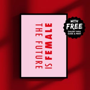 May include: A pink framed print with the text "Is Female The Future" in red letters. The print is on a red background with shadows.