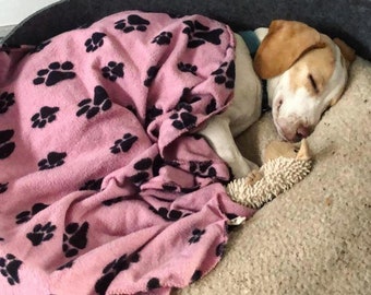 Helping your dog to Settle on a mat or bed