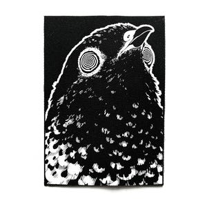 Parche de paloma psicodélica para coser en la espalda: parches psicodélicos, góticos, crust punk y weirdcore para chaquetas y bolsos.