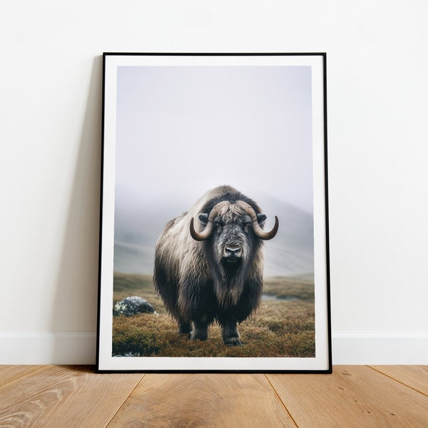 Poster Musk Ox Print, Alaska, Arctic, Animal Photography Printed and Shipped, Musk Ox Wall Art, Farm Decor Mailed Print, Fall