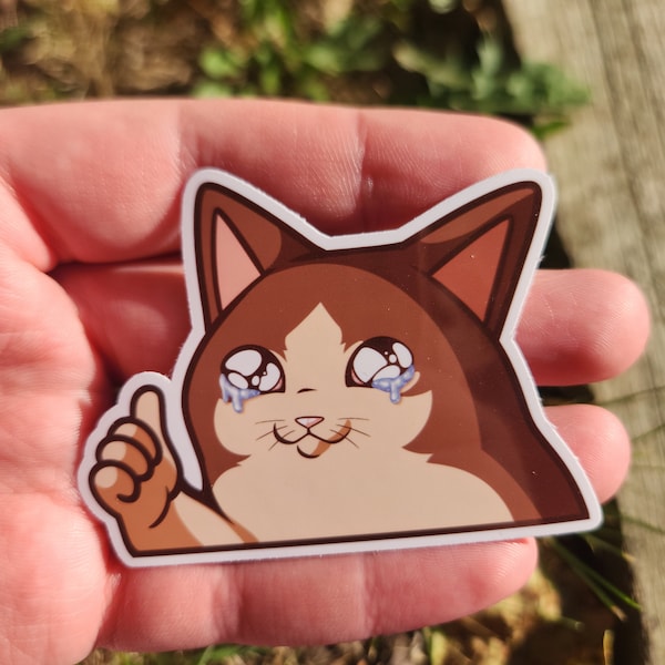 Crying Thumbs Up Cat Meme Sticker