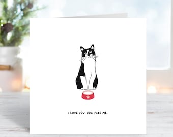 Funny Cat Valentine Card: Anniversary Greeting