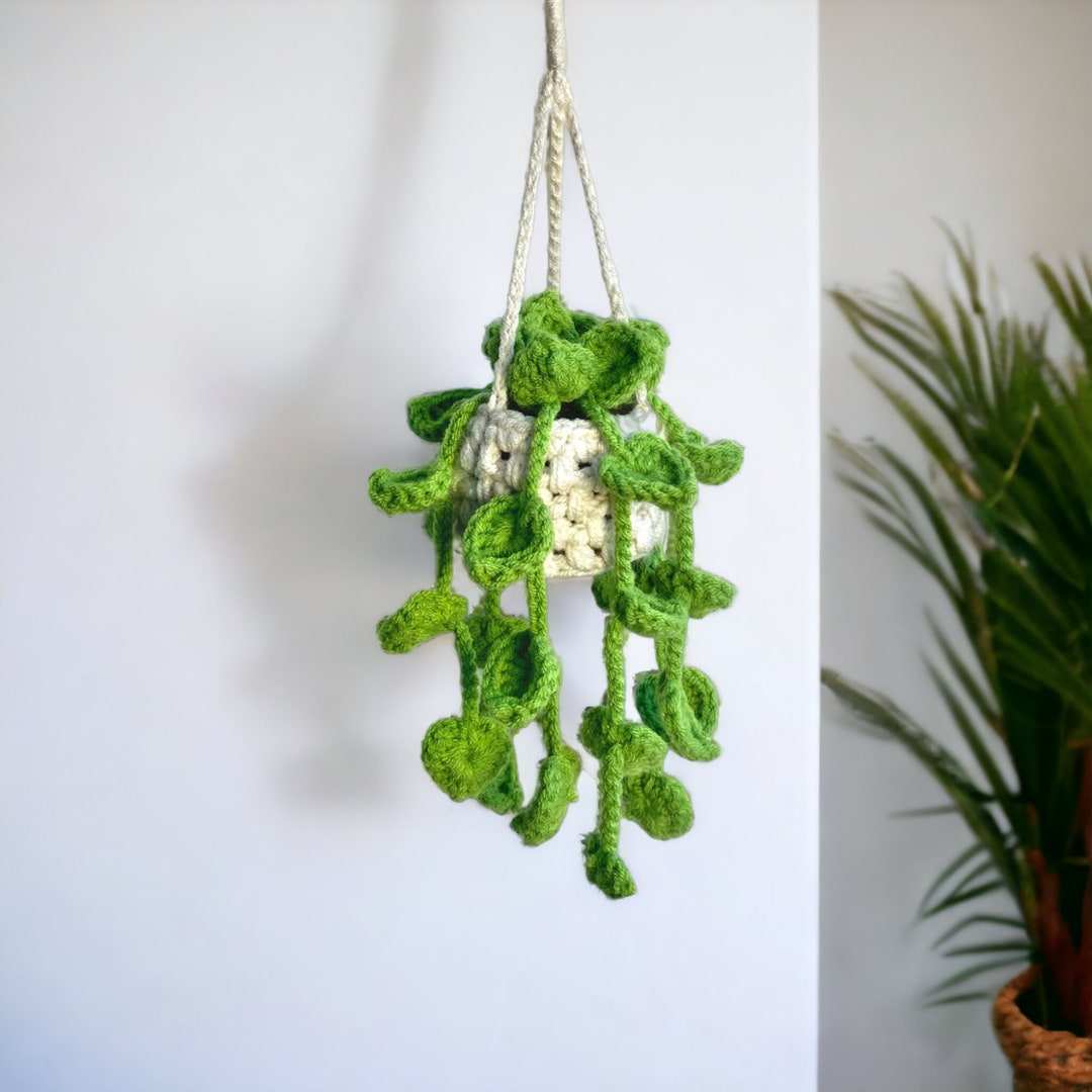 Patterns Crochet Car Hanging Plant Car Hanging Plant Crochet Etsy