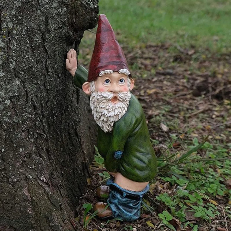  Jim Shore Enchanting Gnomes Coloring Book: An Inspirational  Collection Of Whimsical Characters