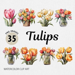 Aquarell Tulpe PNG Clipart-Bundle, Tulpe Clipart, Blumen Clipart, Blumen Clipart, Sommerblumen PNG, Blüten Clipart, Blumen Bilder PNG