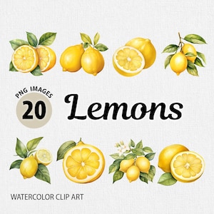 Könnte beinhalten: Ein Set mit 20 Aquarell-Illustrationen von Zitronen in verschiedenen Positionen, darunter ganze Zitronen, Zitronenscheiben und Zitronen mit Blättern. Die Illustrationen sind im realistischen Stil gehalten und eignen sich perfekt für den Einsatz in digitalen oder gedruckten Projekten.