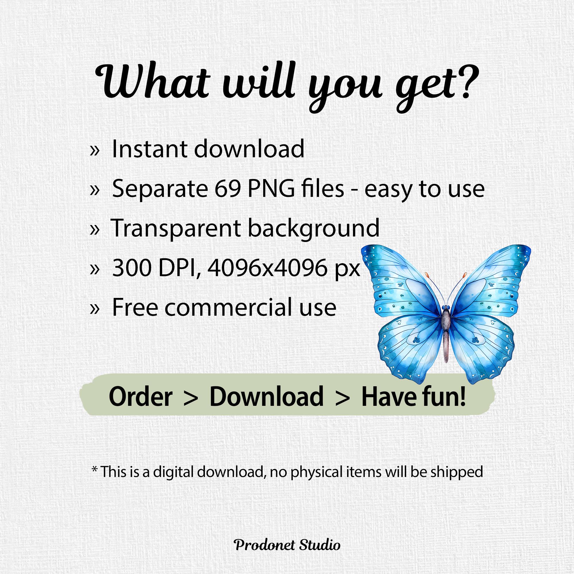 Watercolor Butterfly PNG Clipart Bundle #1, Colorful Butterfly Clipart ...