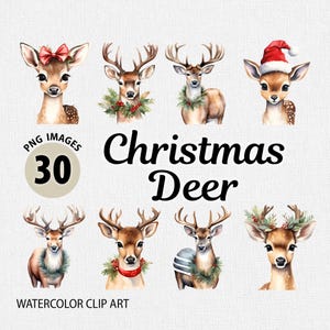 Könnte beinhalten: Aquarell-Clipart mit 8 niedlichen Weihnachts-Rehen mit roten Schleifen, Weihnachtsmann-Mützen und Kränzen. Der Text "Christmas Deer" und "30 PNG Images" ist ebenfalls enthalten.