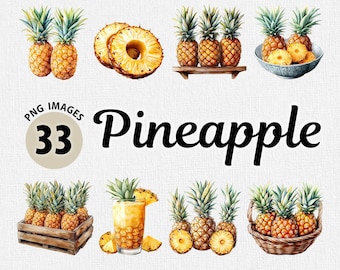 Akvarell ananas PNG-paket, ananas clipart, ananasgrafik, sommarfrukt clipart illustration, tropisk PNG, exotisk frukt clipart