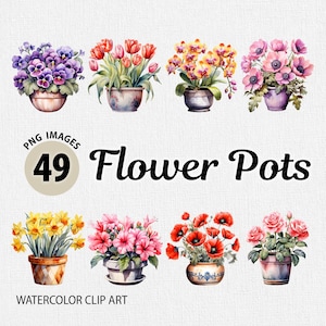 May include: A set of 49 watercolour flower pot clip art images. The images feature a variety of flowers in pots, including pansies, tulips, orchids, anemones, daffodils, hibiscus, poppies, and roses.