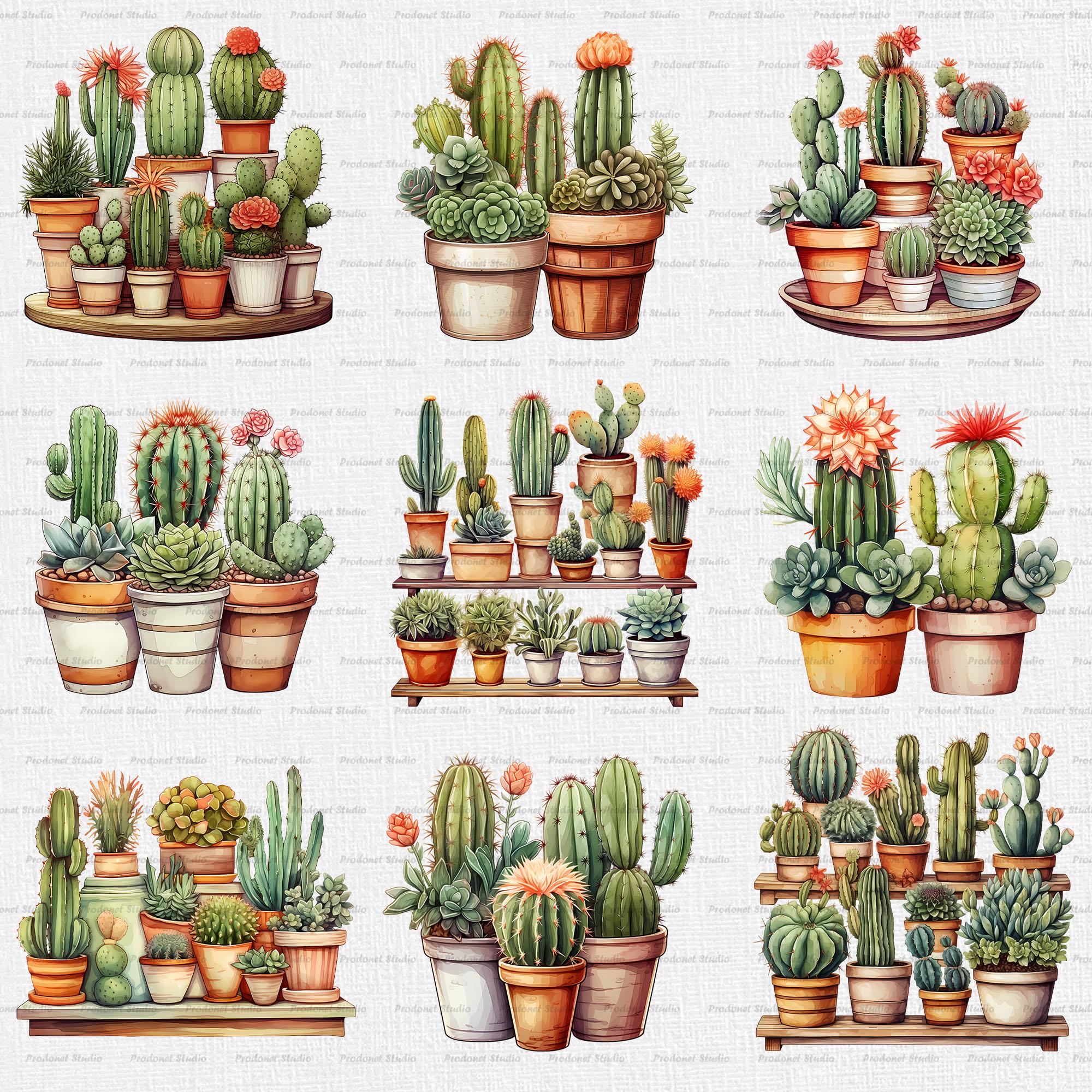 Watercolor Cactus Plants PNG Clipart Bundle, Watercolor Succulent PNG ...