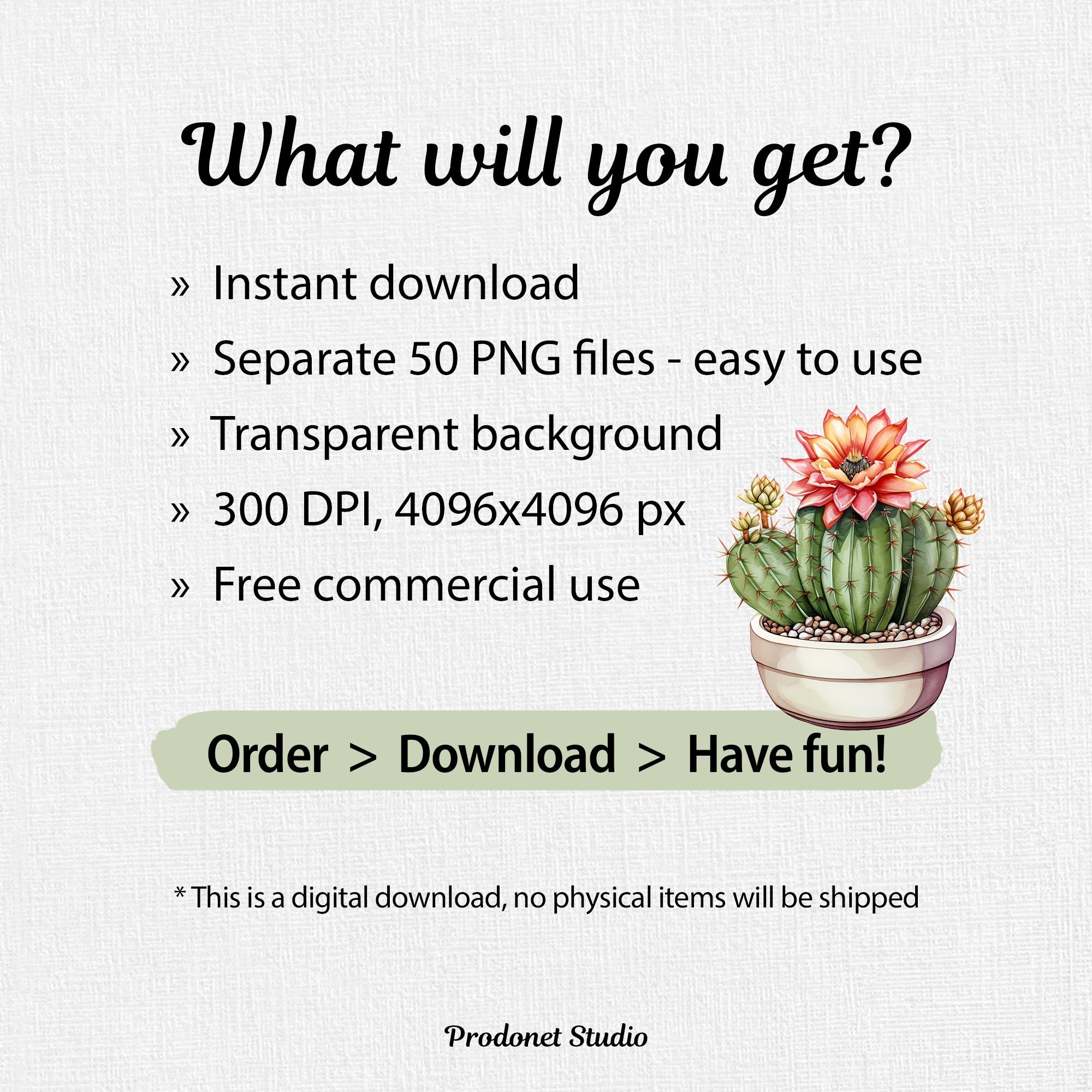 Watercolor Cactus Pot PNG Clipart Bundle, Watercolor Succulent PNG ...