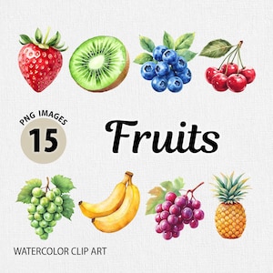 Watercolor Fruit PNG Clipart Bundle, Watercolor Fresh Fruit Clipart, Summer Fruit Digital Illustrations, Watercolor Citrus Fruits PNG Bundle