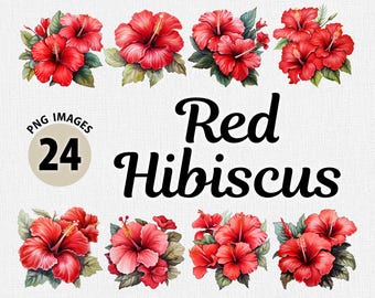 Akvarell röd hibiskus PNG Clipart-paket, akvarell hibiskus PNG, blommig clipart, blomma clipart, sommarblommor png, blomma clipart