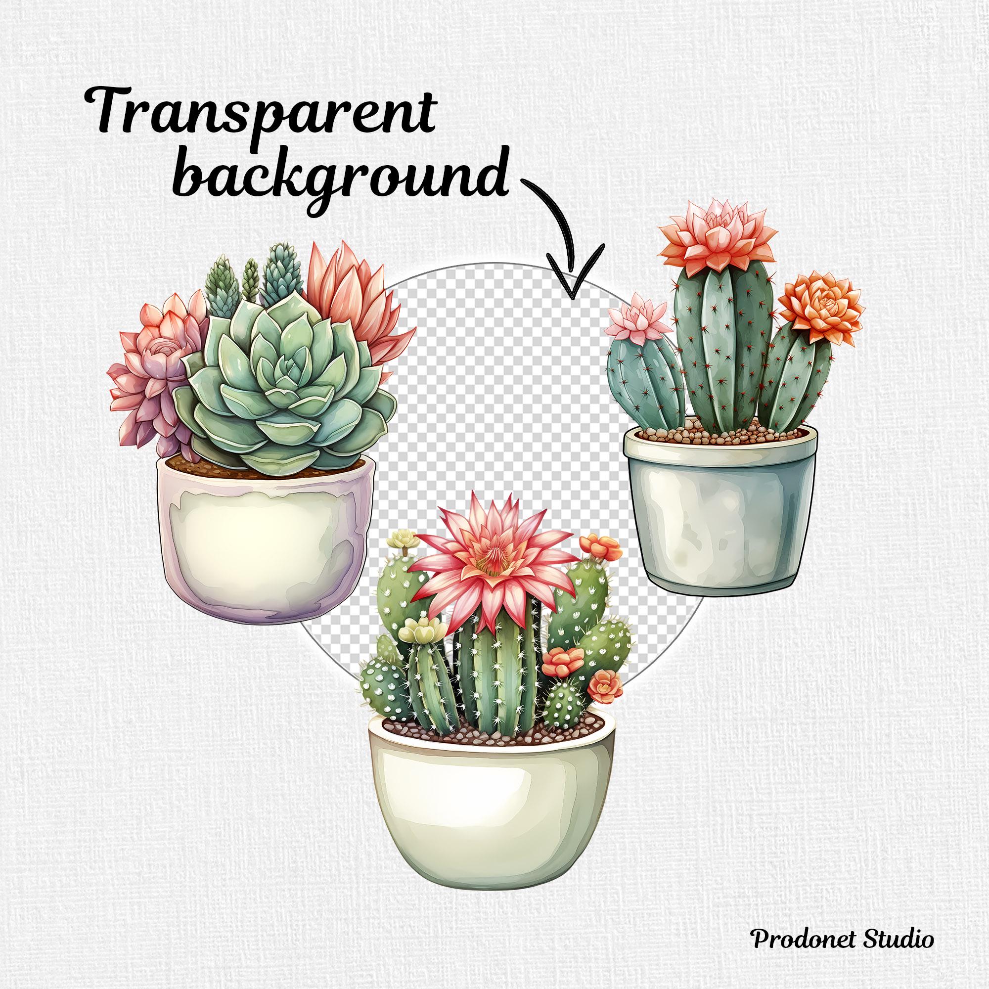 Watercolor Cactus Pot PNG Clipart Bundle, Watercolor Succulent PNG ...