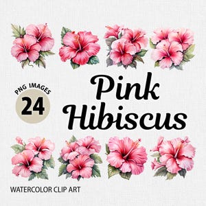 Watercolor Pink Hibiscus PNG Clipart Bundle, Watercolor Hibiscus PNG, Floral Clipart, Flower Clipart, Summer Flowers png, Blossom Clipart