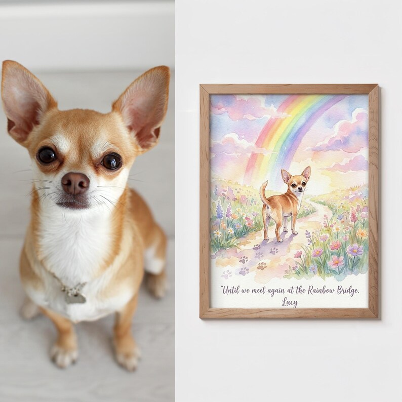May include: A tan and white Chihuahua dog with a silver collar and tag. Next to the dog is a framed watercolor print of a Chihuahua on a path with a rainbow and the text "Until we meet again at the Rainbow Bridge. Lucy."