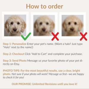 May include: Image showing instructions on how to order a custom pet portrait. The text reads "How to order" with steps to personalize, checkout, and send a photo. Includes examples of good and bad photos.